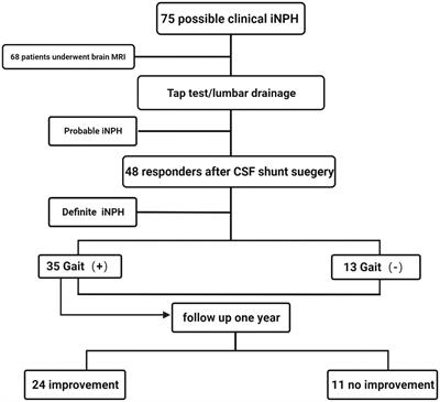 White matter hyperintensity mediating gait disorders in iNPH patients via neurofilament light chain